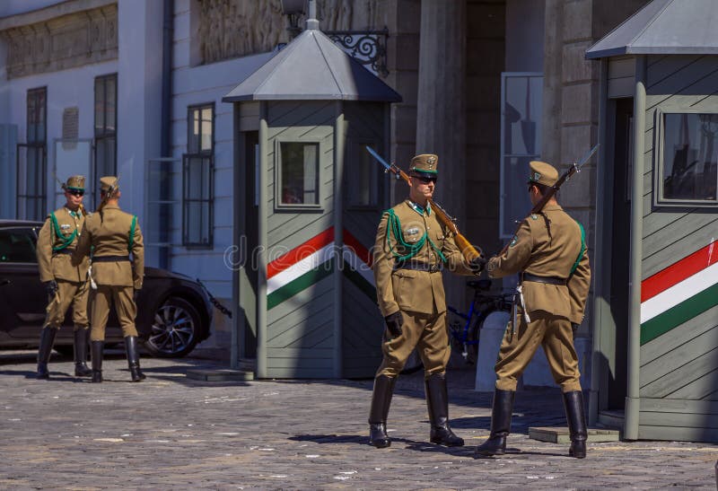 Изменение церемониальной пехоты элиты на входе королевского замка в Будапеште стоковые фотографии rf